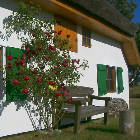 Apartment Im Fischerhaus Hiddensee 33 Qm *