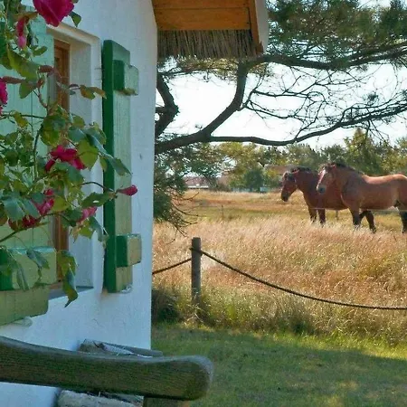 Im Fischerhaus Hiddensee 33 Qm Neuendorf (Hiddensee)
